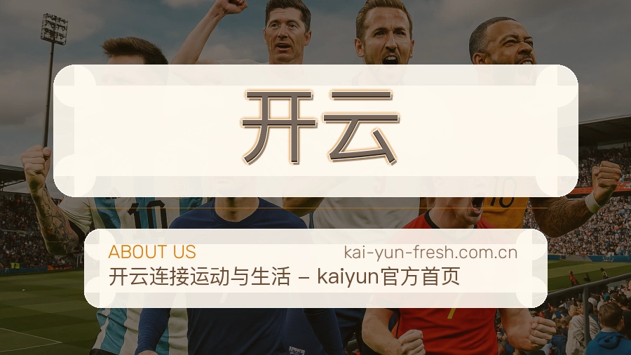 开云关于我们模块图